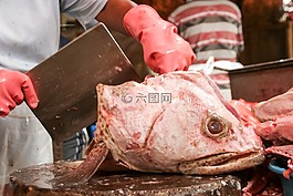 魚,頭,眼