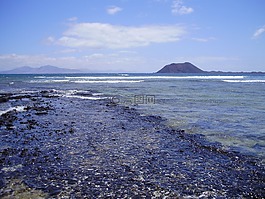 富埃特文圖拉,西班牙,金絲雀