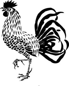 公雞,家禽,農場