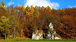 親子鑒定國(guó)家公園,波蘭,景觀