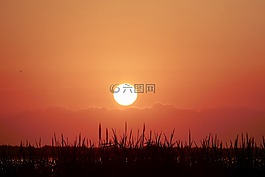 日落,黎明,太陽