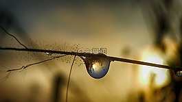 一滴水,下降,液體