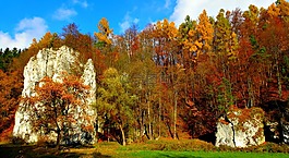 親子鑒定國(guó)家公園,波蘭,景觀