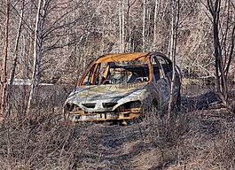 芬蘭,被遺棄的車,自動(dòng)