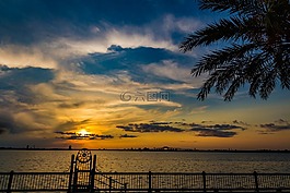 日落,水,夏天