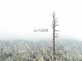 有霧,自然,景觀