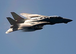 航空展,军事,f 14