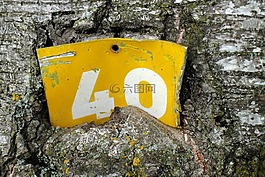 盾,信息,數(shù)