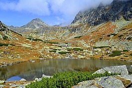 塔特拉,岩,盾牌