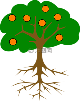 樹(shù),桔子,根