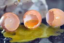 破裂的蛋,黃色蛋黃,食品