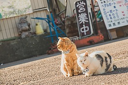自然,動物,可愛