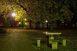 公園,晚上,夜