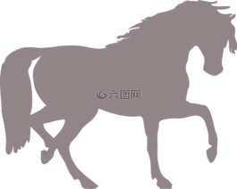 馬,側(cè)影,孤立