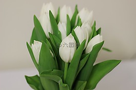 鮮花,鮮花花束,束鮮花