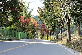 秋季,街,國(guó)家
