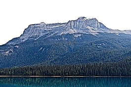 山,森林,自然