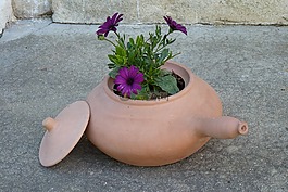 鮮花,煲,兵馬俑