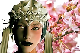 藝伎回憶錄,日本,櫻花