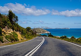 自然,路,旅行