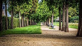 公園,長凳,戶外