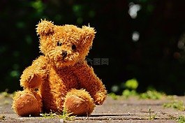 熊,泰迪熊,毛絨玩具