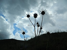 天空,云,雨