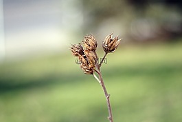 性質(zhì),在法院的,沒有一個人