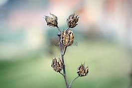 性質(zhì),沒有一個人,在法院的