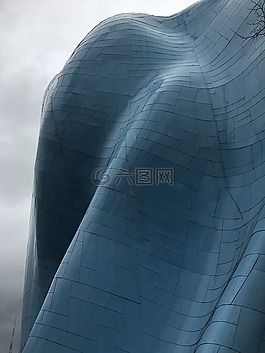 蓋里,建設(shè),結(jié)構(gòu)
