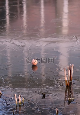 ij,冰,水