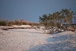 岸,海灘,景觀