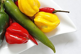 feferon,辣椒,美食