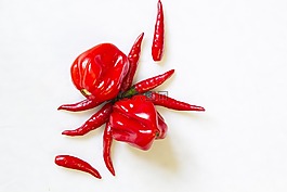 烹飪,papricka,辣椒