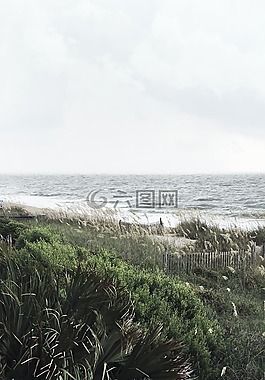 海,海洋,水