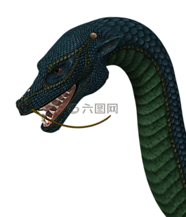 龍,頭,爬行動(dòng)物