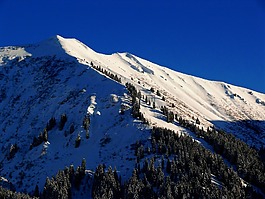 雪,冬天,山