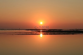 日落,海滩,大自然