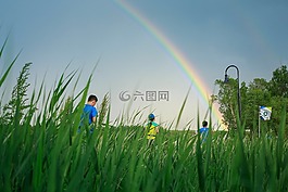 跑步,清晨,拼搏