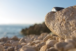 海,太陽,放松