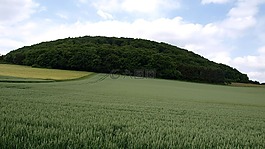 bausenberg,景觀,山