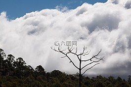 特內(nèi)里費(fèi),泰德,國家公園