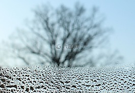 窗格,窗口,視圖