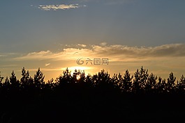 树,地平线,天堂