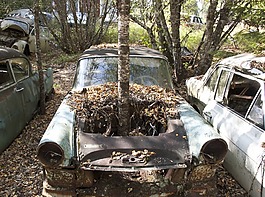 汽車,廢鋼,moss