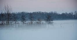 霧,景觀,冬天