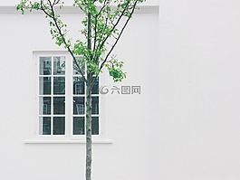 房子,首頁,居住