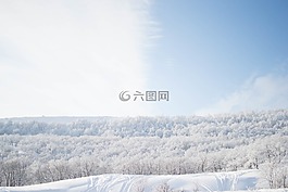 白,雪,冷