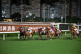 赛马,香港,马