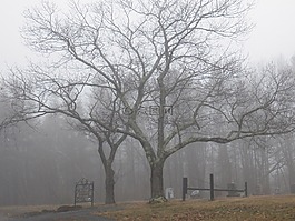 墳?zāi)?墓地,格雷夫斯